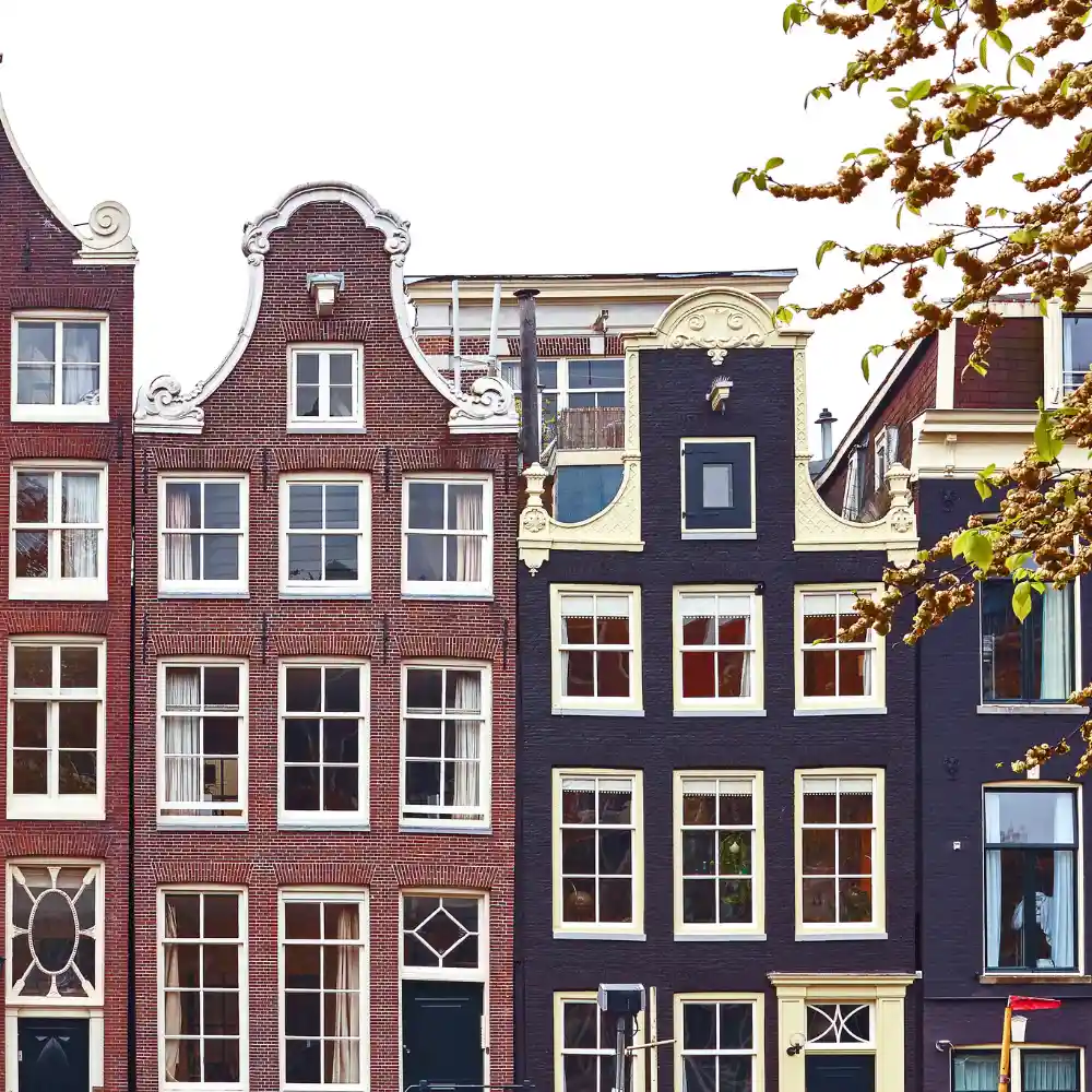 Waarom Persoonlijke Begeleiding Het Verschil Maakt