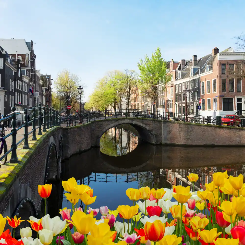 Woning Amsterdam Aantrekkelijk Voor Kopers