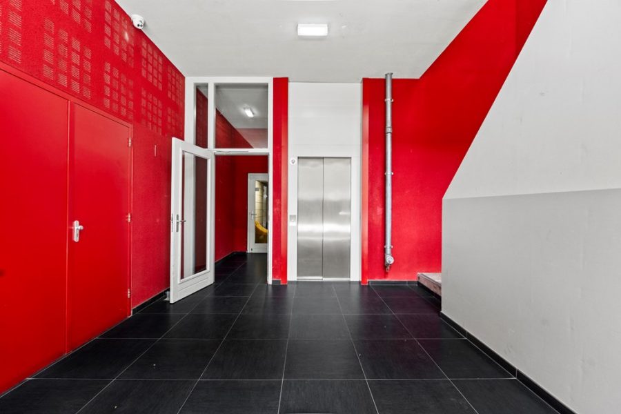 van-20suchtelen-20vd-20haarestraat-2024g-33.jpg