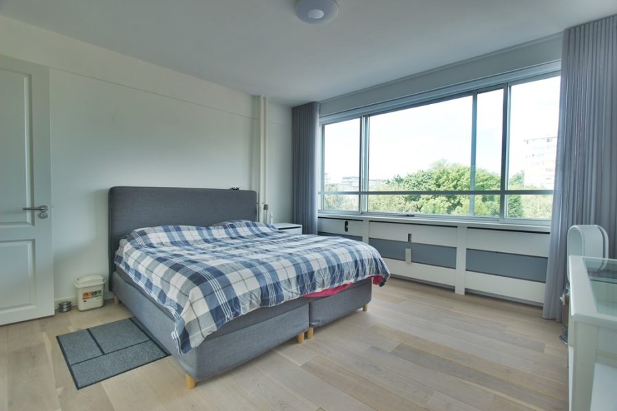 pics-20meander-20amstelveen-2012.jpg