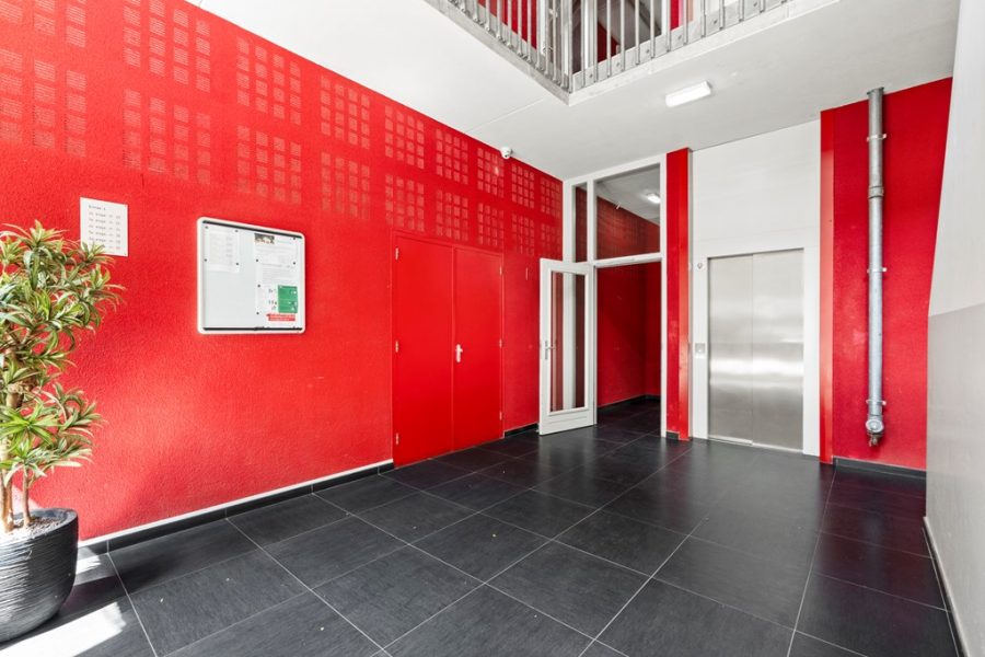 van-20suchtelen-20vd-20haarestraat-2024g-35.jpg