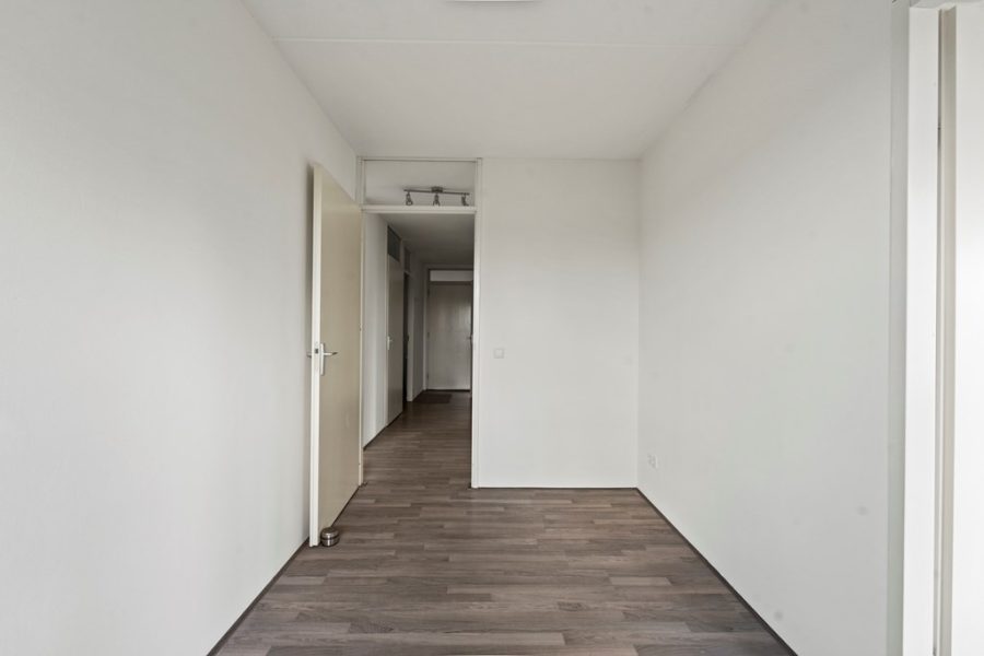 van-20suchtelen-20vd-20haarestraat-2024g-14.jpg