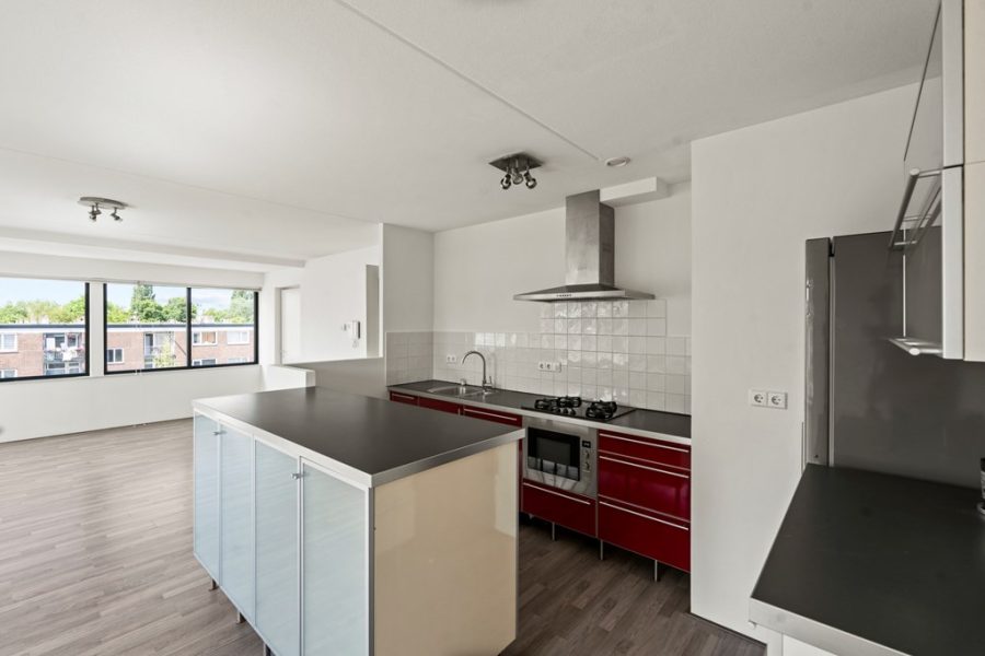 van-20suchtelen-20vd-20haarestraat-2024g-23.jpg