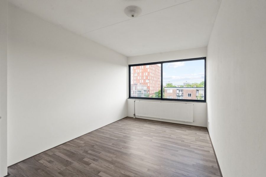 van-20suchtelen-20vd-20haarestraat-2024g-08.jpg